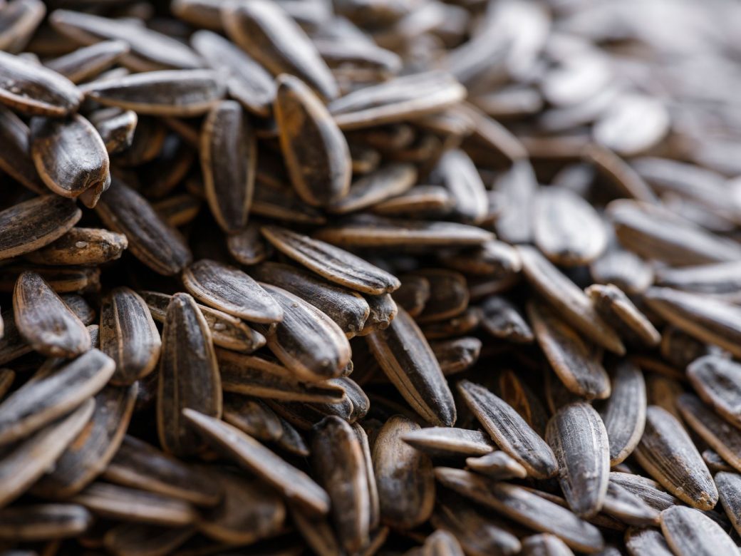 Detailed close-up of organic roasted sunflower seeds, showcasing natural texture and healthy nutrition.