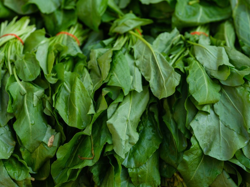 Close-up of fresh green spinach leaves bundled together, showcasing vibrant and healthy foliage.