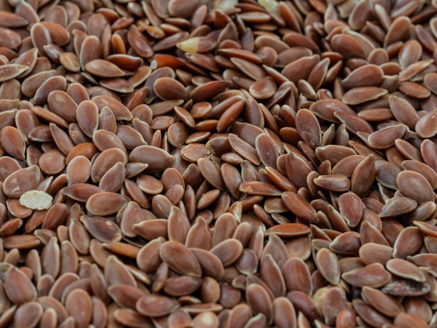 Fiber Supplement: What the Evidence Actually Says